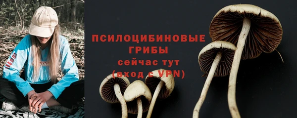 PSILOCYBIN Волоколамск